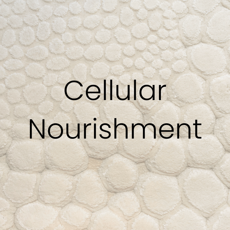 Cellular Nourishment Gray textured background with the words ‘Cellular Nourishment’ centered in clean font. Featured on the Mind Rejuvenation IV Vitamin Infusion page to highlight cellular protection, immune resilience, and the benefits of antioxidant-rich therapy.