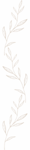 Leaves Divider