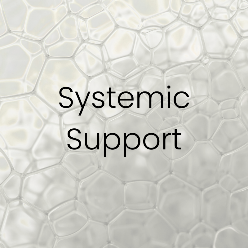 Systemic Support Close-up of translucent, bubble-like cellular pattern with the words ‘Systemic Support’ centered in modern font. Featured on the Mind Rejuvenation IV Vitamin Infusion page to represent whole-body wellness, interconnected healing, and foundational support for optimal health.