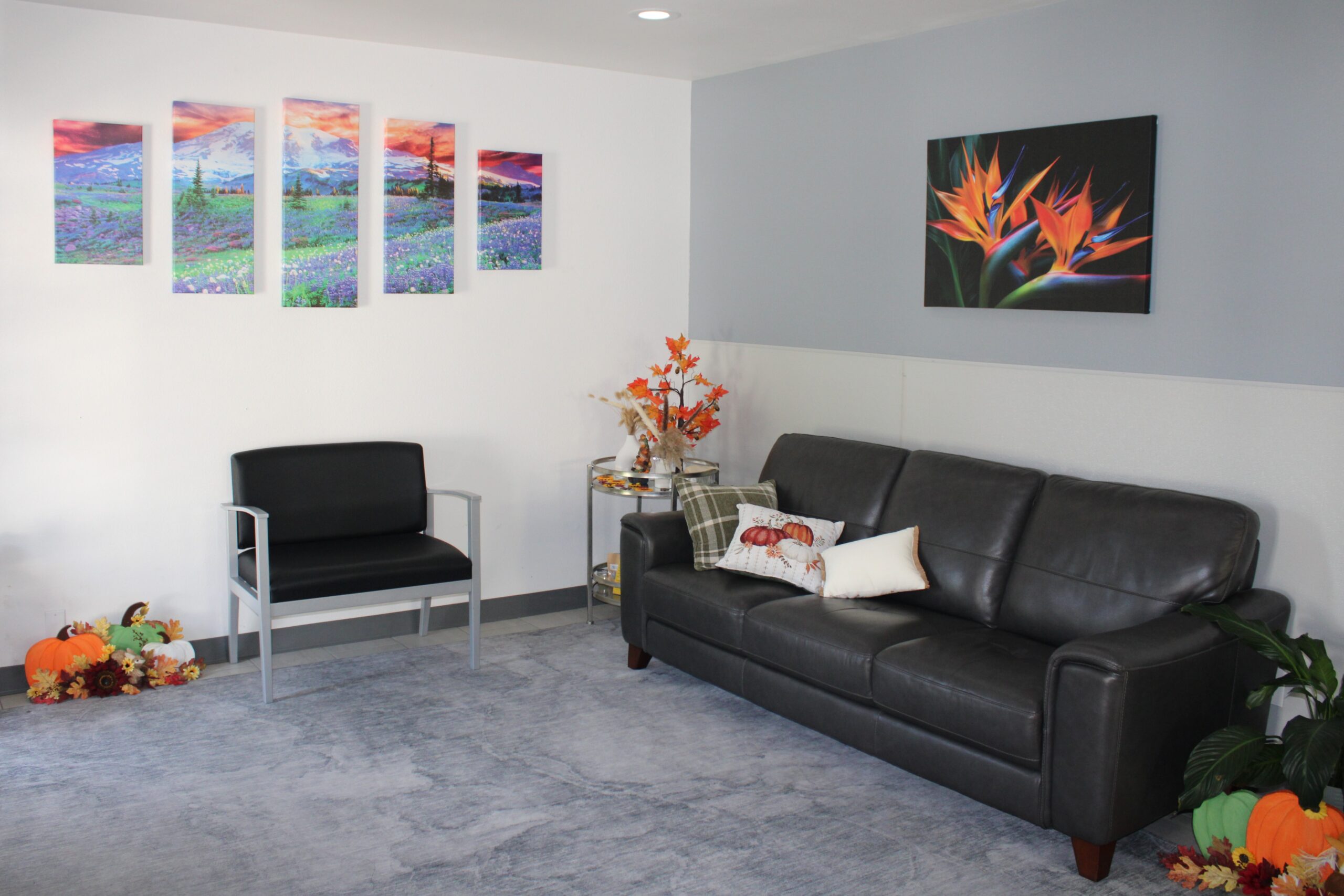 Waiting area Cozy waiting area with a dark gray leather couch, decorative pillows, autumn-themed accents, and vibrant wall art. Featured on the Mind Rejuvenation Home page to reflect comfort, warmth, and a welcoming space for mental wellness.